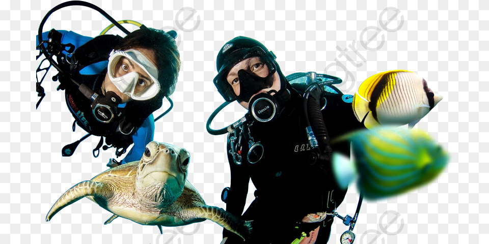 Diving People Seabed Character Diving Mask, Outdoors, Reptile, Person, Sea Life Free Png Download