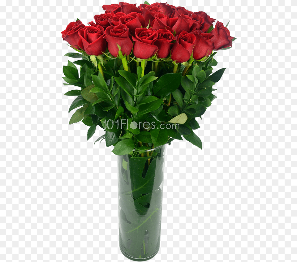 Divino Garden Roses, Flower, Flower Arrangement, Flower Bouquet, Plant Png