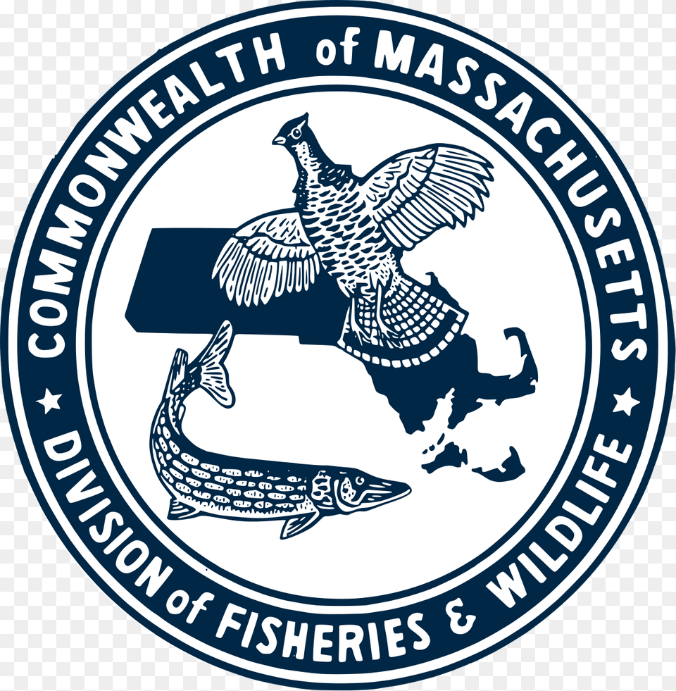 Division Of Fisheries And Wildlife Massachusetts Wikipedia Emblem, Badge, Logo, Symbol, Animal Free Transparent Png
