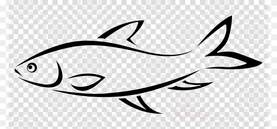 Diwali Diya Clipart Line Art Clip Art Transparent Acorn Clip Art, Animal, Fish, Sea Life, Tuna Png Image
