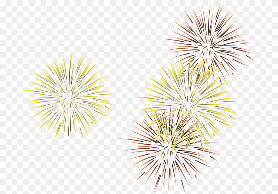 Diwali Firecracker Fireworks New Years Eve, Plant Free Transparent Png