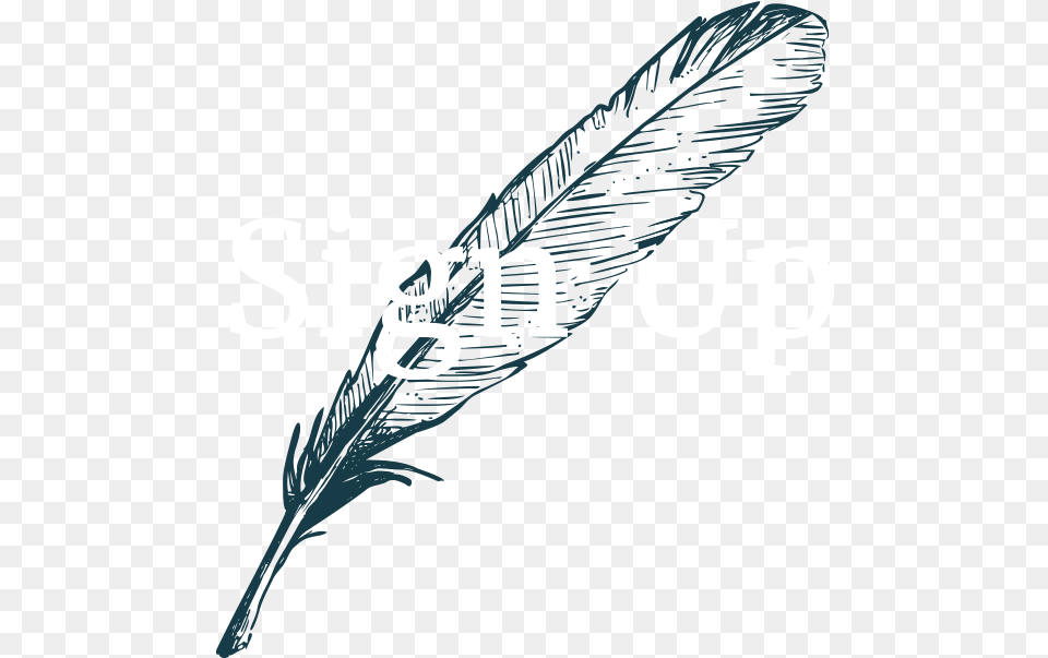 Dixon Rye Sign Up Feather Line Art, Bottle, Text, Leaf, Plant Free Png