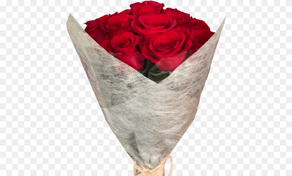 Diy 12 Red Roses Bouquet Magnaflor Diy Rose Bouquet, Flower, Flower Arrangement, Flower Bouquet, Plant Png Image