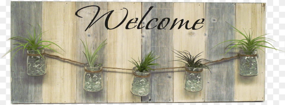 Diy Air Plant Pallet Welcome Sign Flowerpot, Jar, Planter, Potted Plant, Pottery Free Png