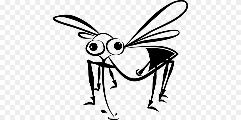 Diy All Natural Bug Spray Progressive Pest Control Atlanta, Nature, Night, Outdoors, Lighting Free Png
