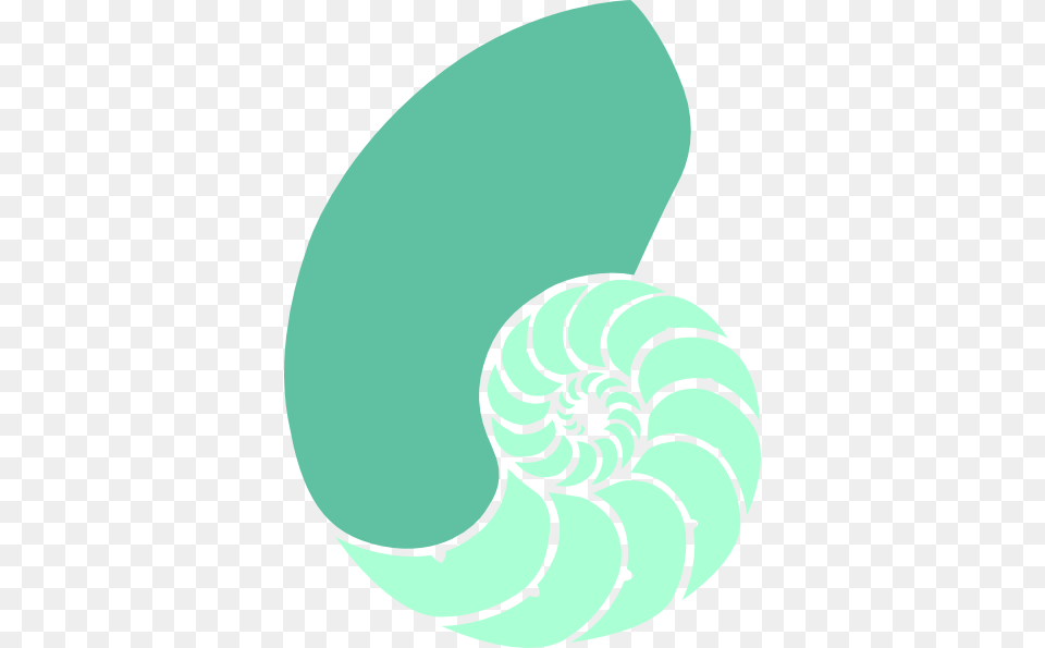 Dklafklhg Clip Art, Spiral, Animal, Invertebrate, Sea Life Png Image