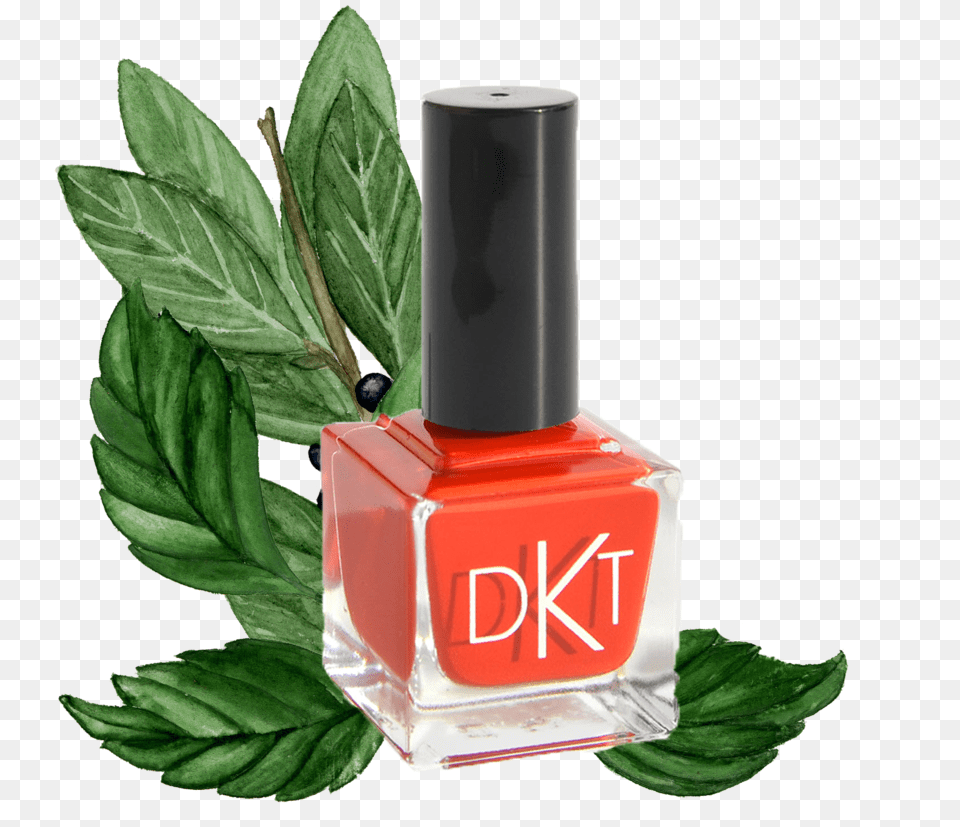 Dkt Polish Nail Polish, Cosmetics, Plant, Nail Polish Free Png