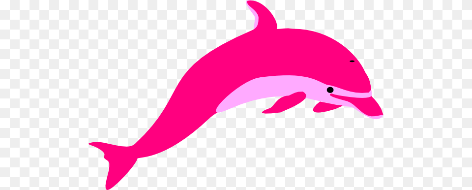 Dlp Clip Art, Animal, Dolphin, Mammal, Sea Life Png Image