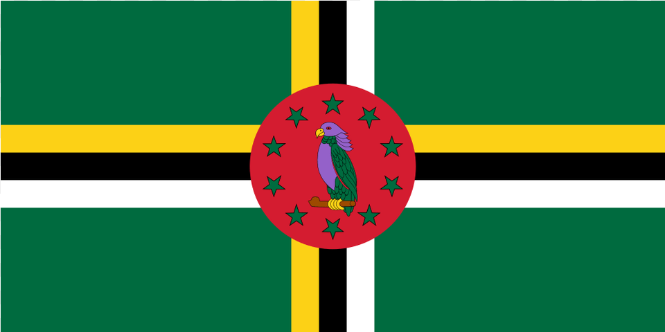 Dm Dominica Flag Icon National Flag Of Dominica Free Png Download