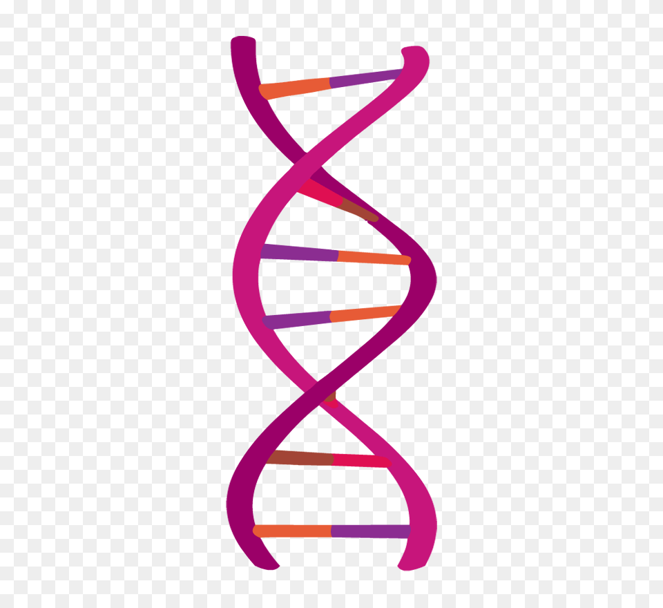 Dna, Home Decor, Paper, Art, Person Png Image