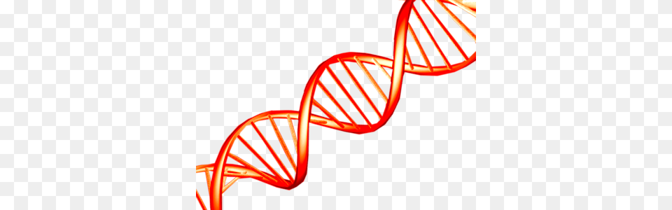 Dna, Spiral, Car, Transportation, Vehicle Free Transparent Png