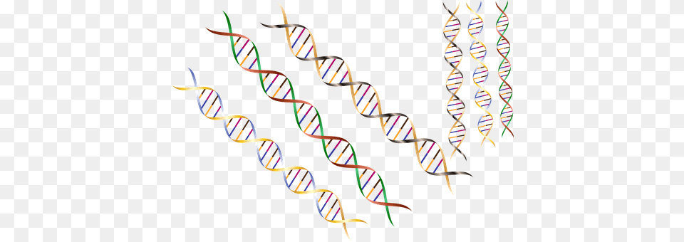 Dna Accessories, Jewelry, Necklace Free Transparent Png