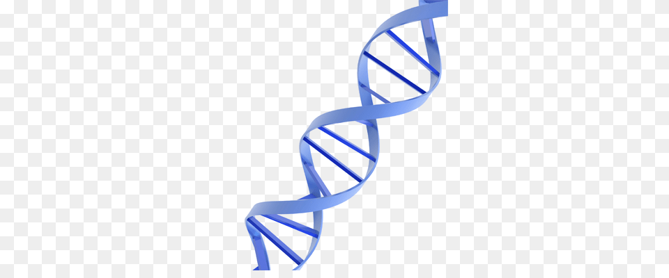 Dna, Architecture, Building, Coil, House Free Png