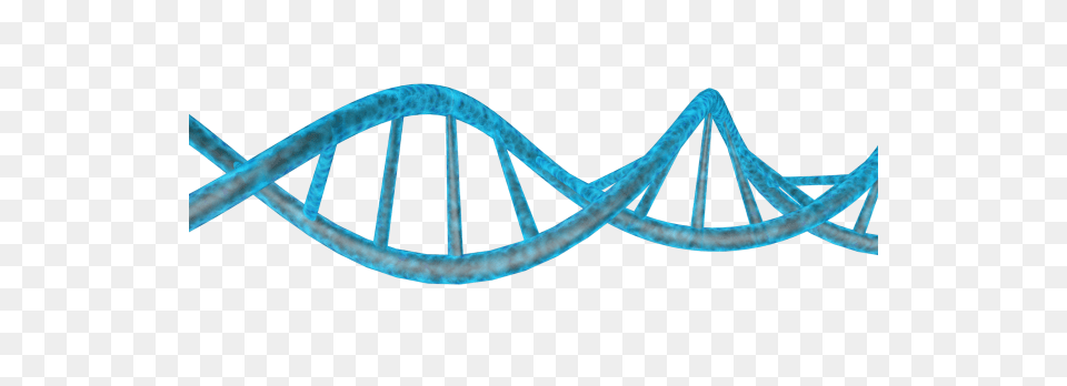 Dna, Machine, Wheel Png