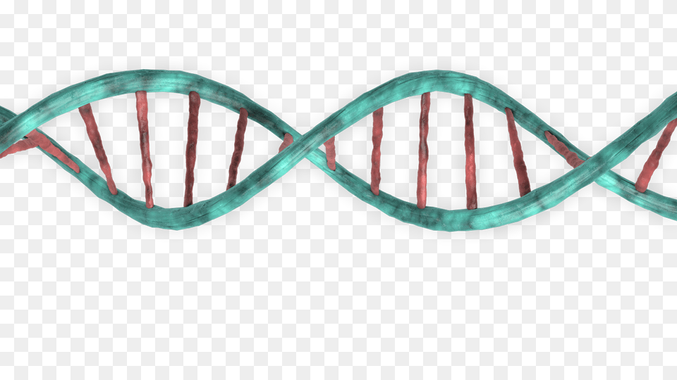 Dna, Accessories, Turquoise Free Transparent Png