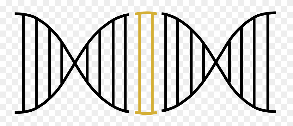 Dna, Oars Png Image