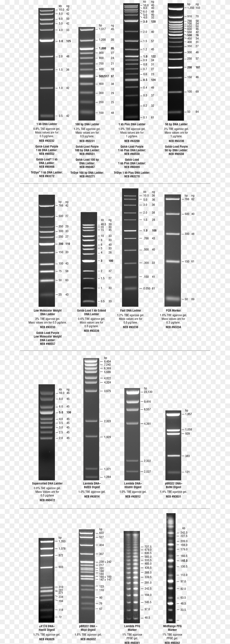 Dna, Curtain, Home Decor, Shutter, Window Free Png