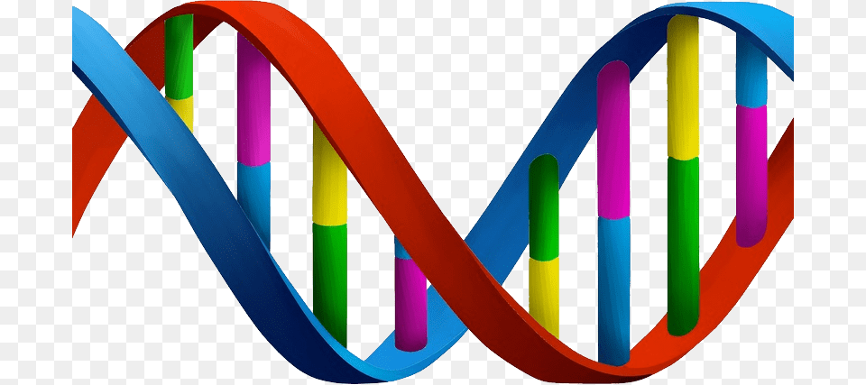 Dna, Art, Graphics, Logo, Hockey Free Transparent Png