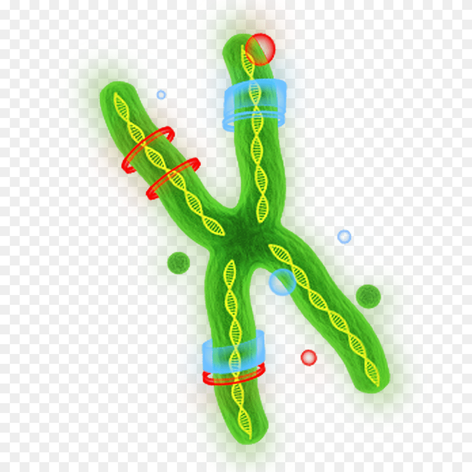 Dna, Light, Person Png