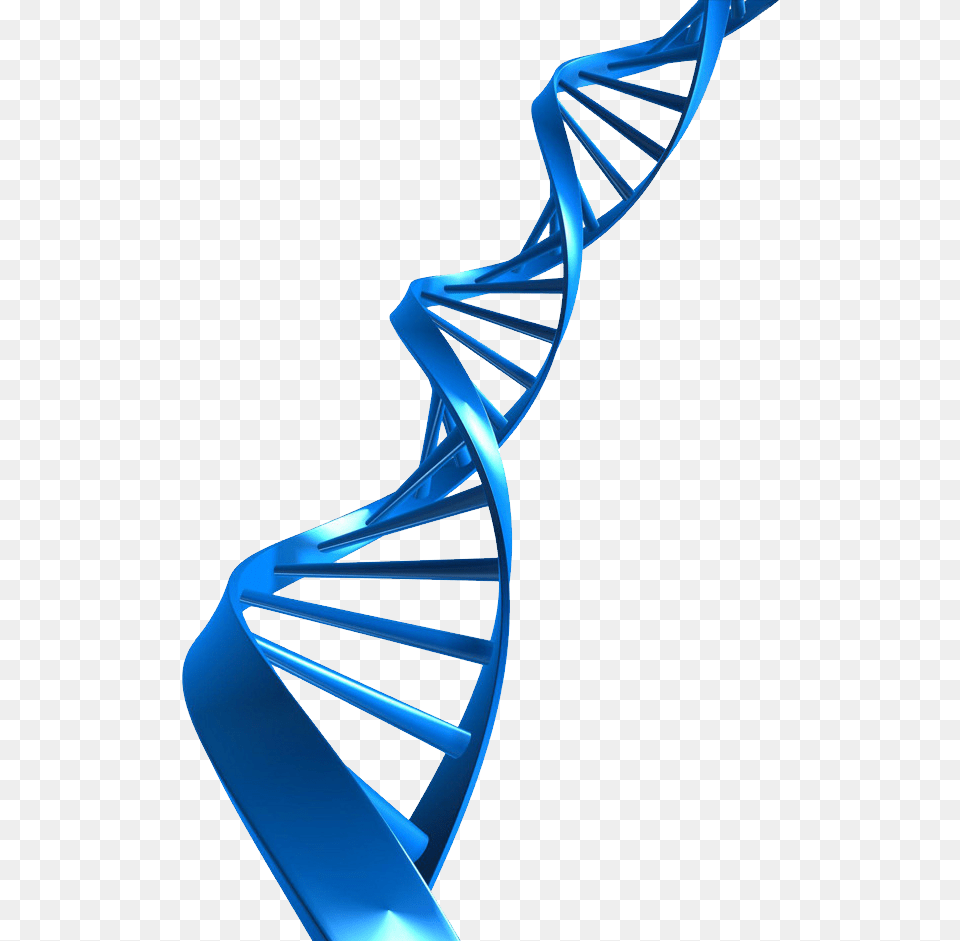 Dna, Architecture, Building, House, Housing Free Png