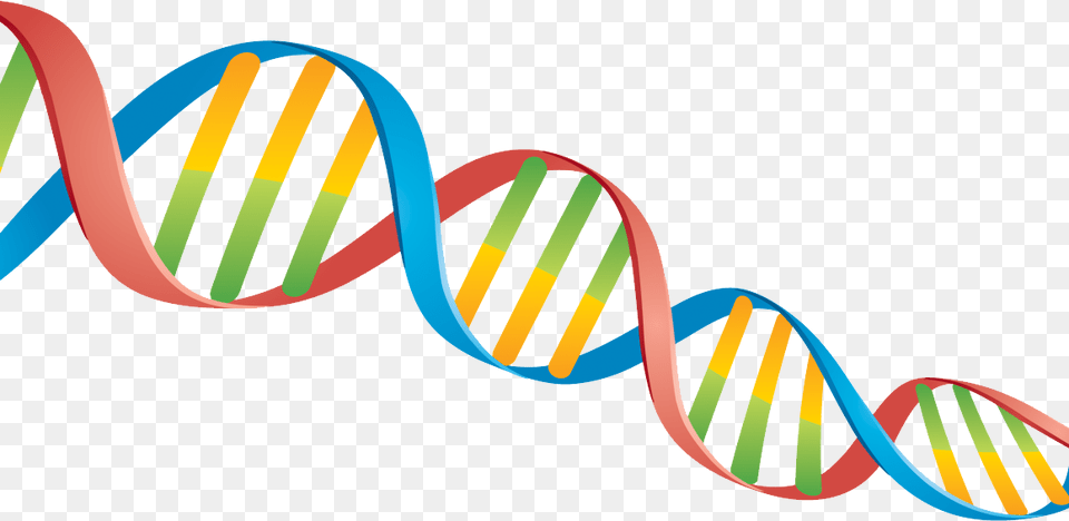 Dna, Art, Graphics, Smoke Pipe Free Transparent Png