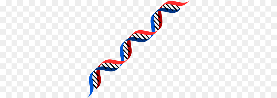 Dna Rope, Person Free Transparent Png