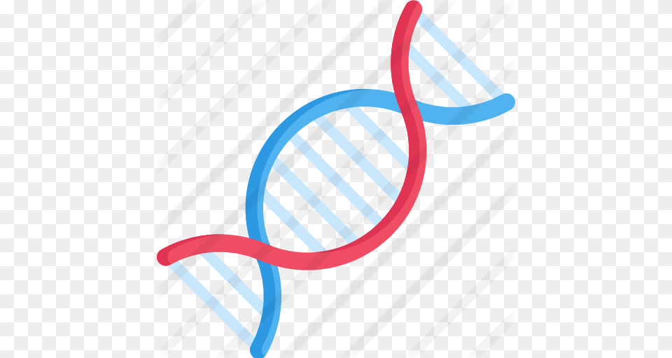 Dna, Racket, Accessories, Bracelet, Jewelry Free Transparent Png