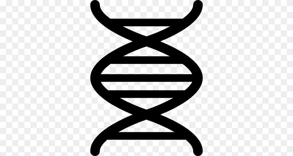 Dna, Bow, Weapon, Stencil, Symbol Free Transparent Png