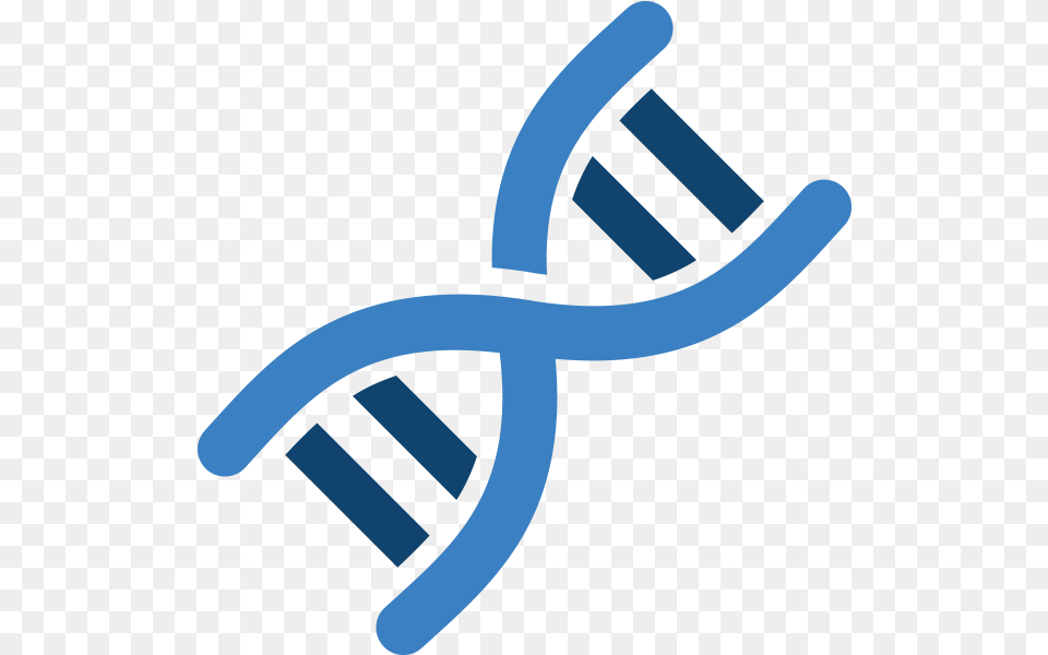 Dna, Brush, Device, Tool, Dynamite Free Png