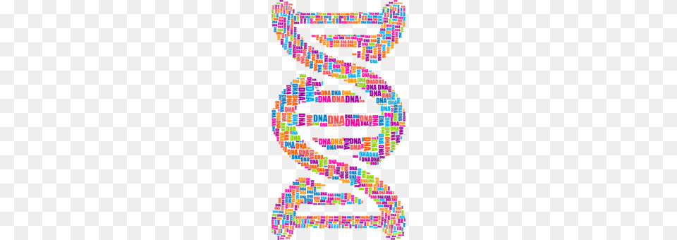 Dna Art, Graphics, Baby, Collage Free Png