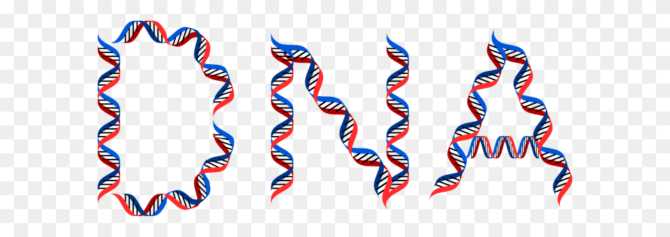 Dna Pattern, Person Free Png