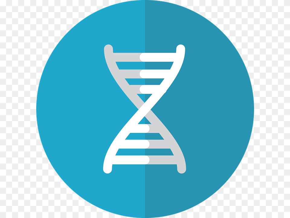 Dna, Architecture, Building, House, Housing Png Image