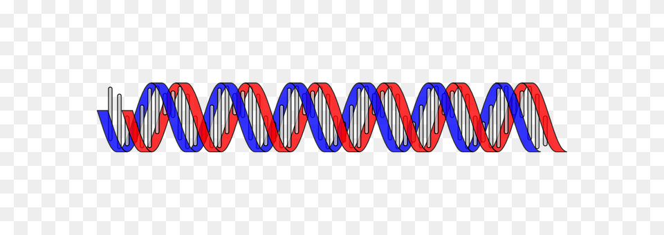 Dna Coil, Spiral, Dynamite, Weapon Free Png