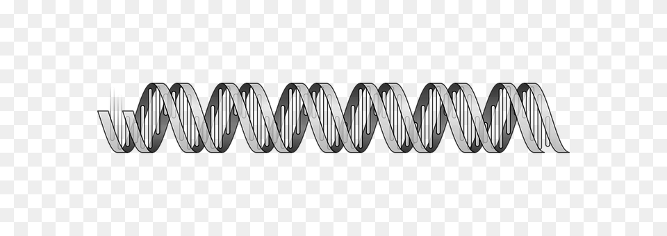 Dna Coil, Spiral, Dynamite, Weapon Png