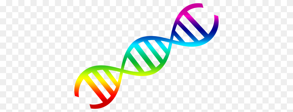 Dna, Art, Graphics, Logo Png Image