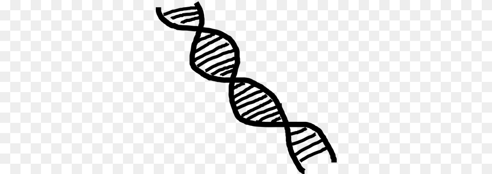 Dna Gray Free Png Download