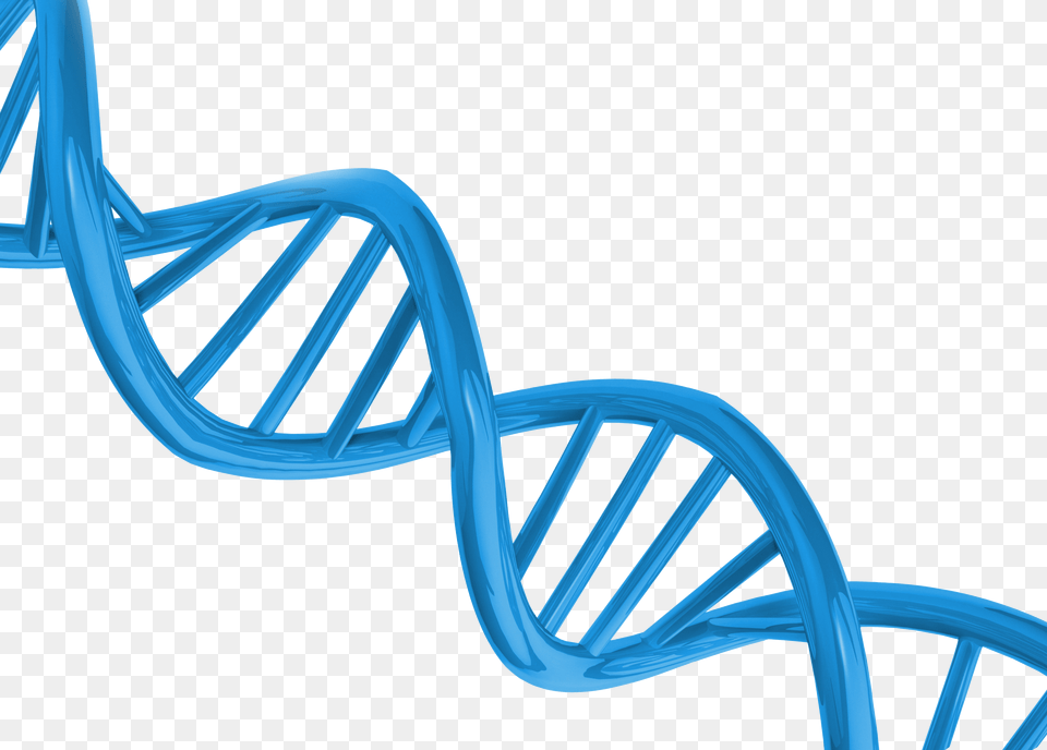 Dna Free Png Download