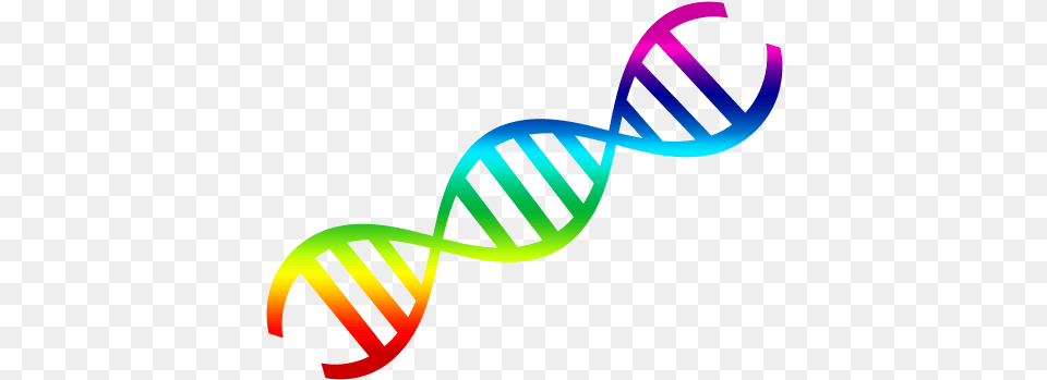 Dna, Art, Graphics, Logo Png