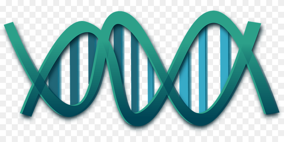 Dna, Light, Logo, Electronics Free Transparent Png