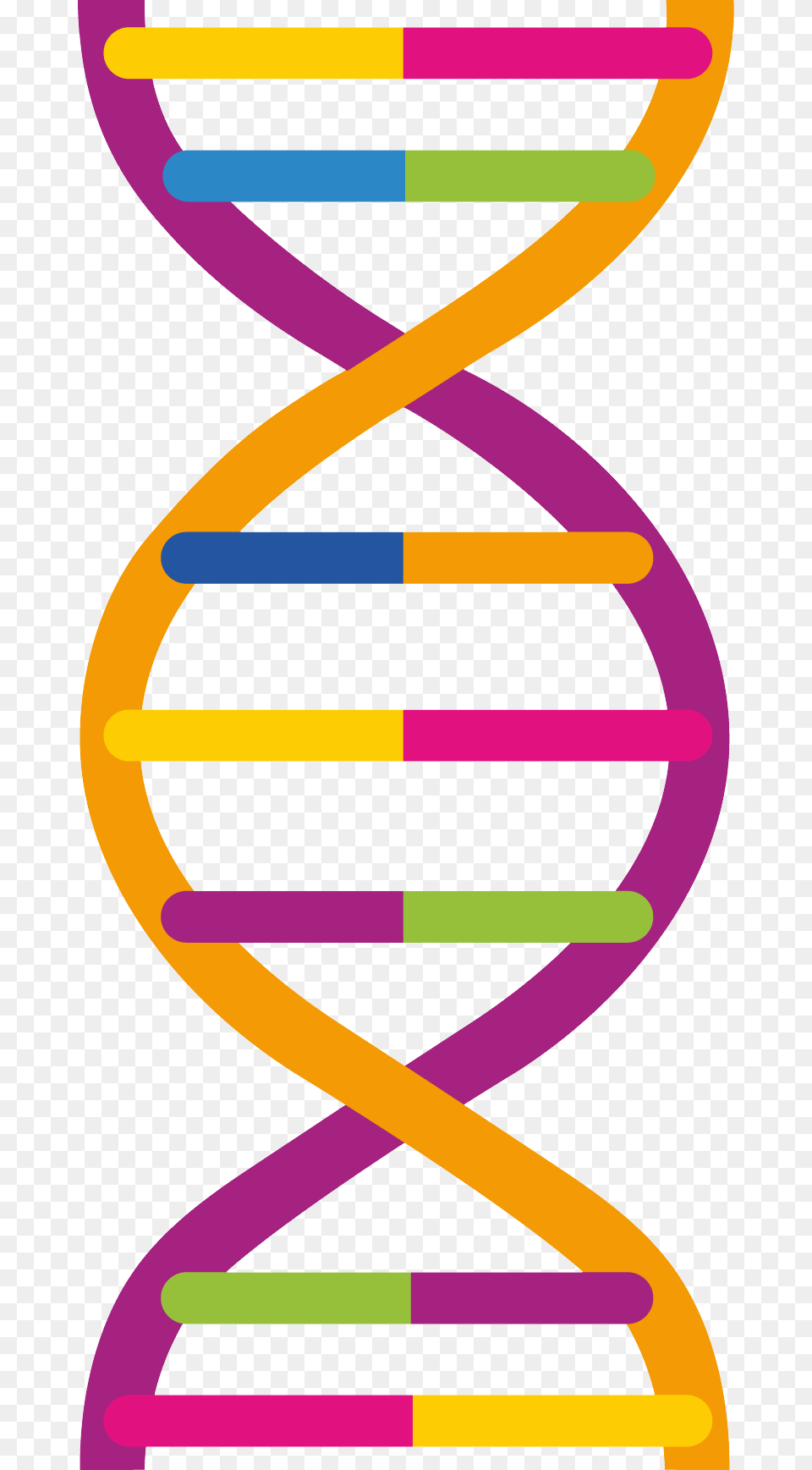 Dna, Bow, Weapon, Spiral Png Image