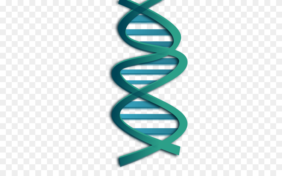 Dna, Spiral, Coil, Accessories, Formal Wear Png