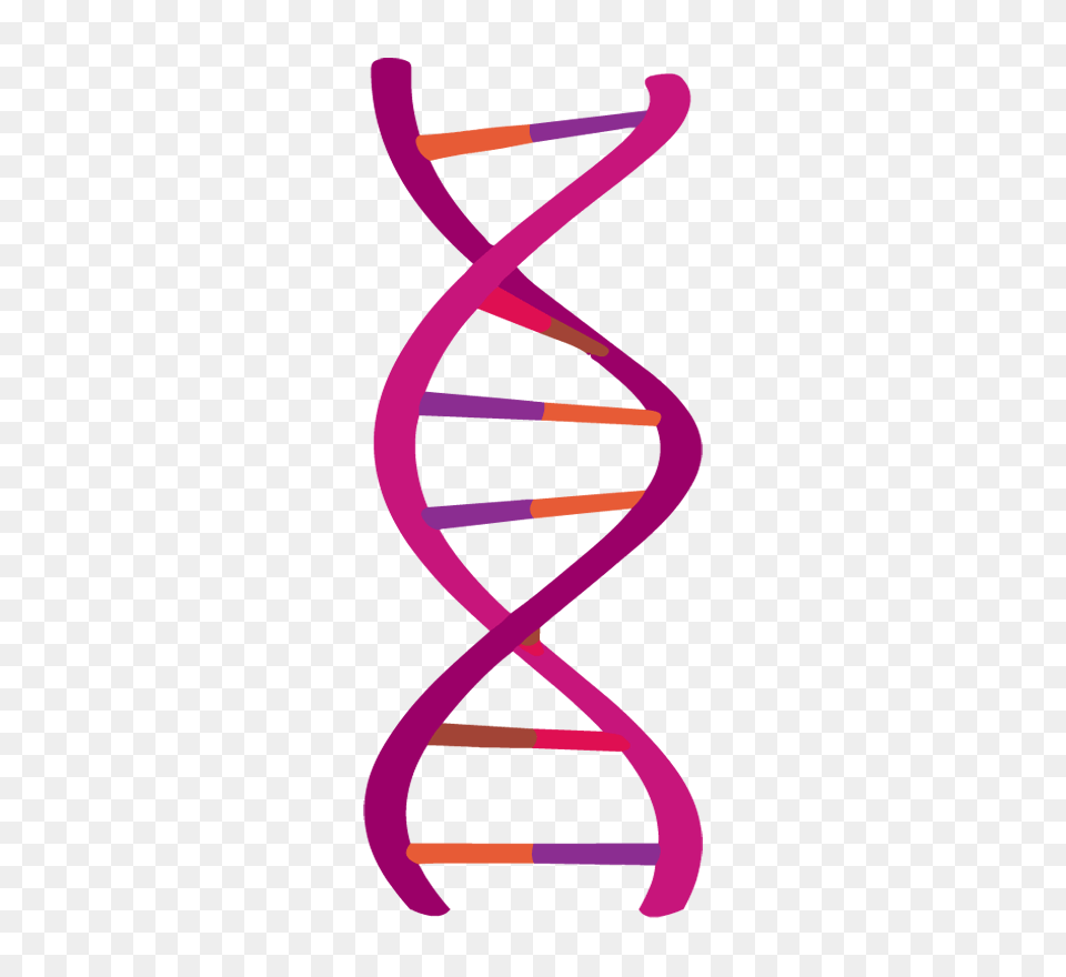 Dna, Home Decor, Paper, Art, Person Png