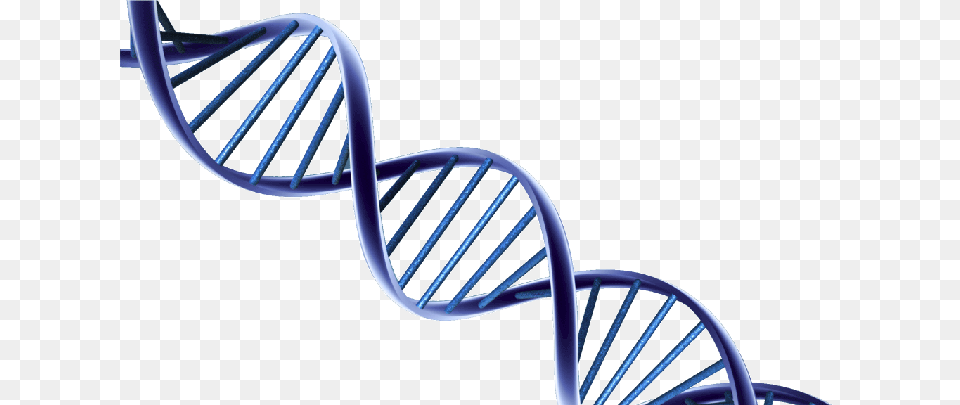 Dna, Architecture, Staircase, Building, Coil Png