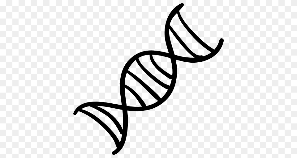 Dna, Handwriting, Text, Bow, Weapon Free Png