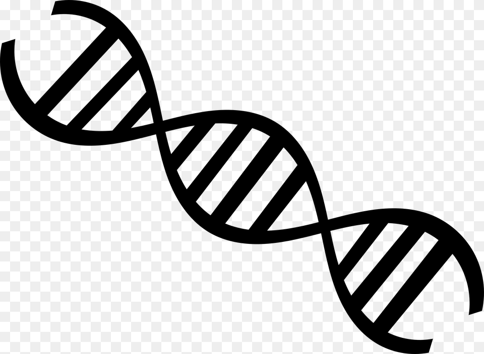 Dna, Gray Free Png Download