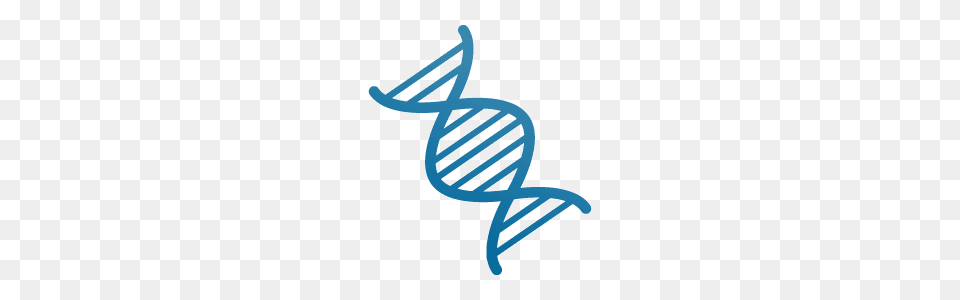 Dna, Handwriting, Text, Bow, Weapon Free Transparent Png