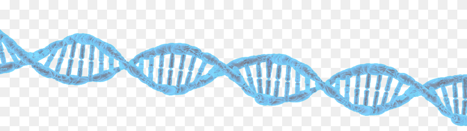 Dna, Pattern Free Png