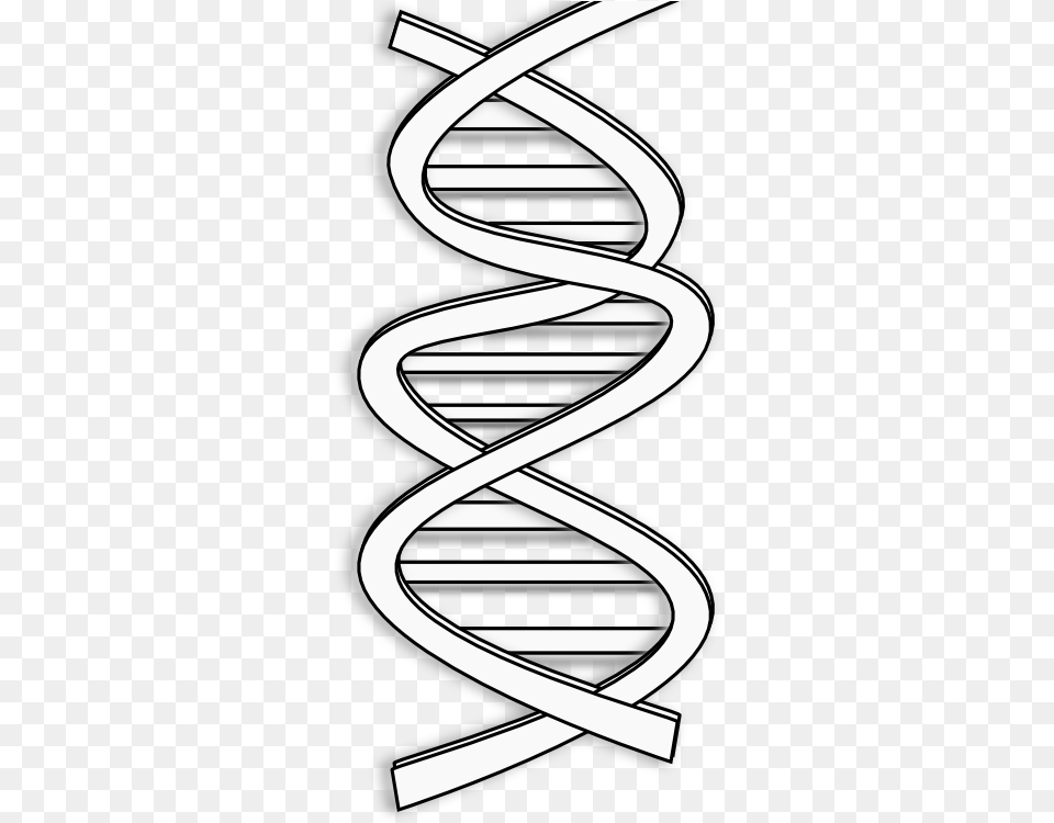 Dna Black And White Clip Art, Coil, Spiral, Blade, Razor Png