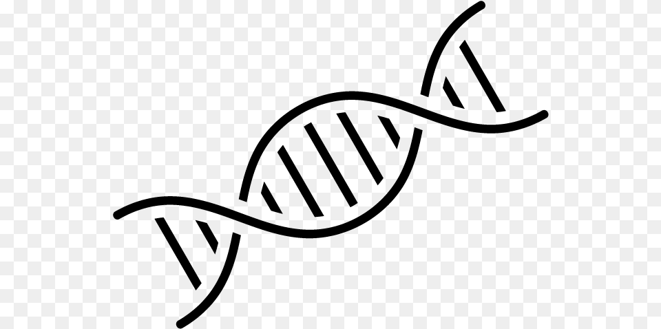 Dna Black And White Clipart, Gray Free Transparent Png