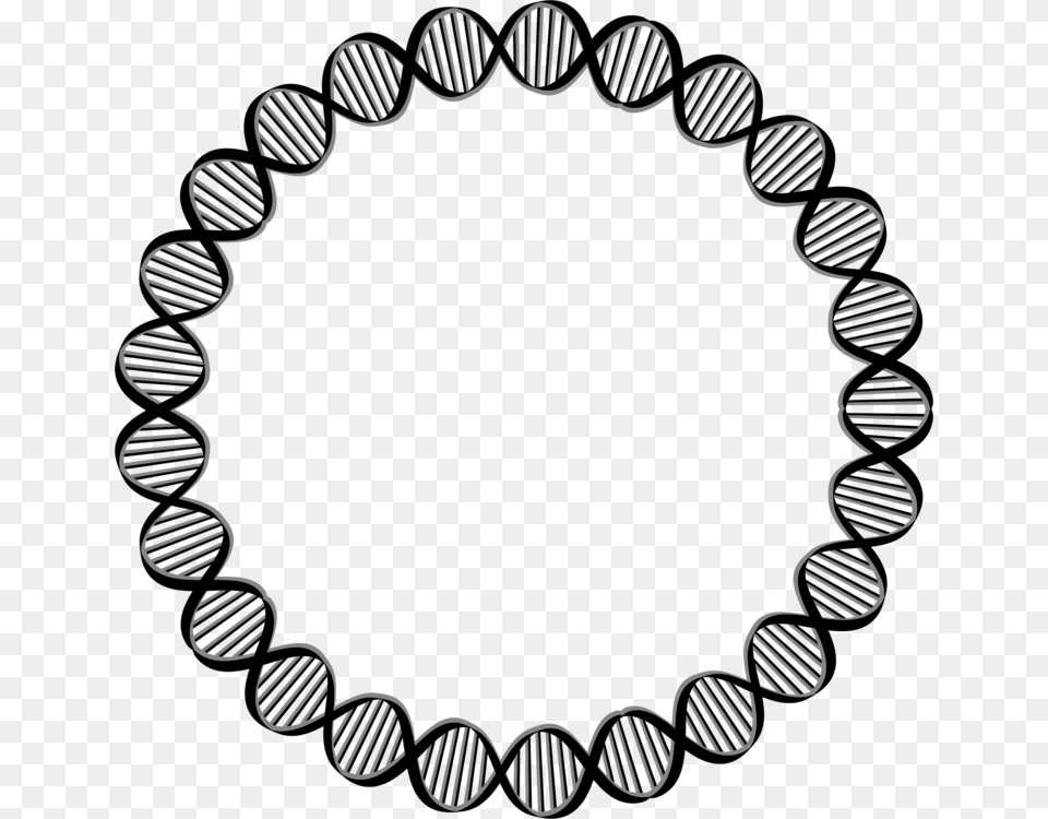 Dna Circle Computer Icons Nucleic Acid Double Helix Cell Oval, Accessories Free Png Download